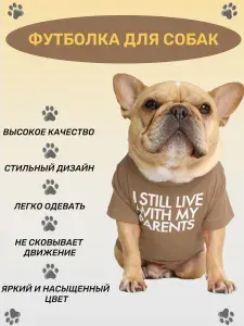 Футболка для собак мелких и средних пород. Футболка для кошек. Одежда для животных. Унисекс. XL