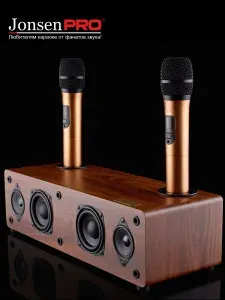 Караоке система Jonsen PRO 2.1 с двумя микрофонами; Караоке система для дома