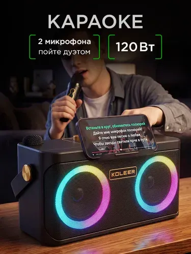 Караоке система с двумя микрофонами черная 120 Вт