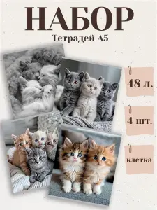 Ставпринт Тетрадь A5, 4 шт., листов: 48