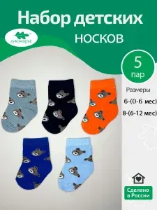 Носки Лукоморье для мальчиков _, 5 пар
