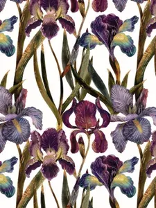 Упаковочная бумага для подарков "FLORA. ИРИСЫ" BrunoVisconti, 70 х100 см/ подарочная бумага