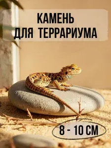 Камень для террариума (8-10см)