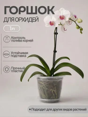 Горшок для орхидеи Альтернатива 1 л, прозрачный, пластиковый, для фаленопсиса