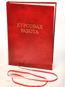 Папка для Курсовой работы. С конвертом для CD. Переплет на ленту. 20шт.