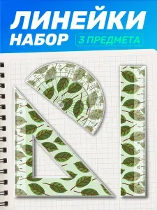Набор линеек для школьника с транспортиром Листья