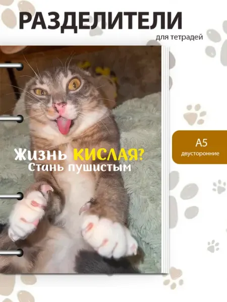 Разделители pinterest для тетради А5, коты мемы из пинтерест MAJIVVI HOME