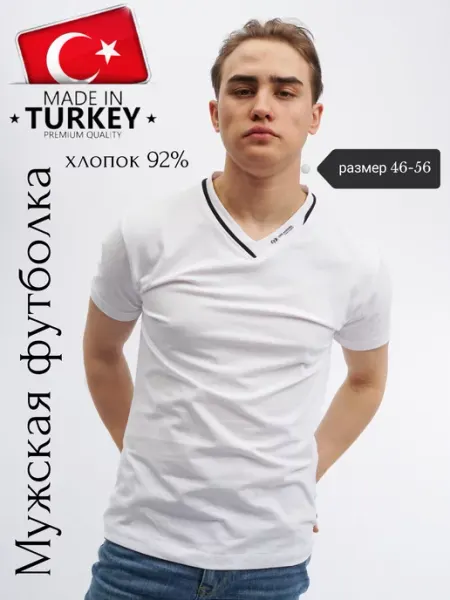 Футболка Мужская турция MOLS