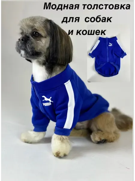 ДОГ ТРЕНД Одежда для собак и кошек