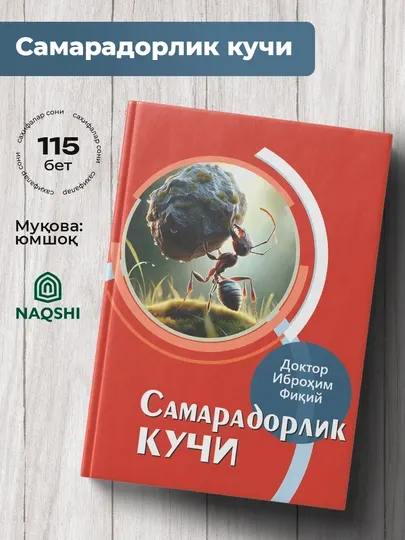 Самарадорлик Кучи, Доктор Иброхим Фикий