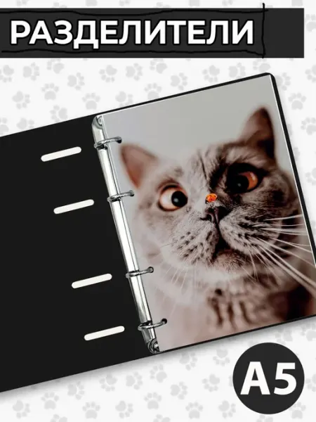 Разделители pinterest для тетради А5, коты мемы из пинтерест StickerHouse Natali Pank