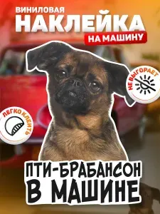 Наклейка на автомобиль, DANGER DOG, Пти-брабансон в машине