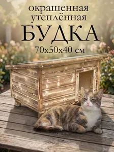 Домик будка для кошек уличный утеплённый окрашенный обожжёный, для 2-3 кошек, зимняя конура, до 25см в холке, размер 70х50х40см