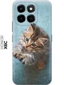 Силиконовый чехол на Honor X6C с принтом "Котёнок на голубом"