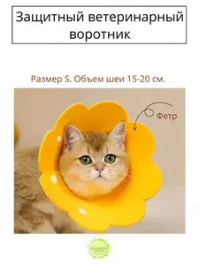 Защитный ветеринарный воротник для кошек и собак мелких пород S, оранжевый