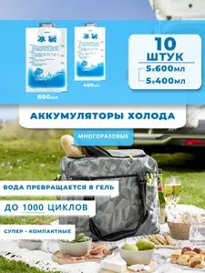 Аккумулятор холода 10 шт