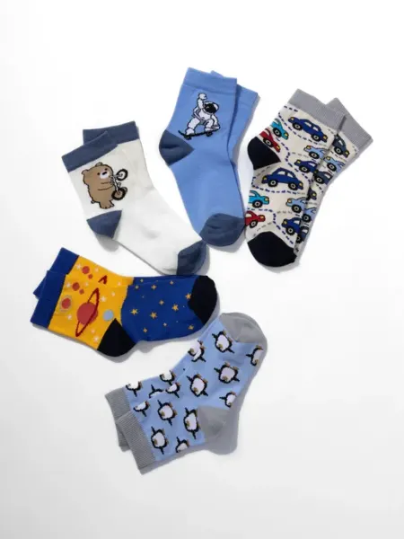 Носки детские набор 5 пар хлопок с принтом The Socks