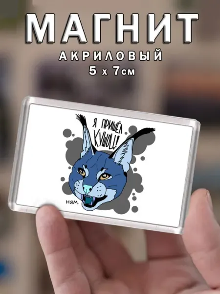 Магнит Я пришел кушоц Chappay