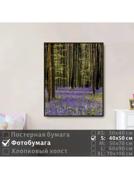 Постер на фотобумаге Весенние Цветы В Лесу, 40х50 см ПолиЦентр