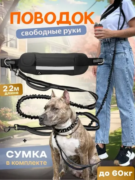 Поводок для собак RAIZA