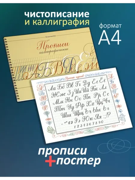 Прописи каллиграфические с постером (алфавит) Искусство красивого письма