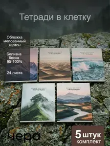 Calligrata Тетрадь A5, 5 шт., листов: 24