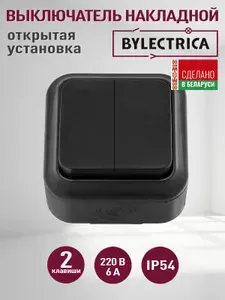 Выключатель накладной двухклавишный черный, IP54/ переключатель двойной черный наружный, влагозащищенный, уличный, герметичный / Bylectrica Байлектрика Пралеска, 6А