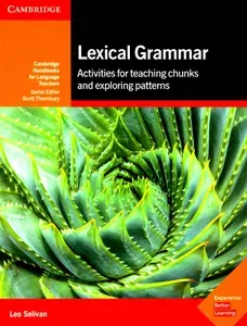 Lexical Grammar / Книга на Английском | Selvian Leo