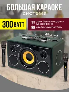 Караоке система NOIR-audio MAX-300 с двумя беспроводными микрофонами и колонкой