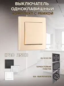 Выключатель одноклавишный внутренний с рамкой