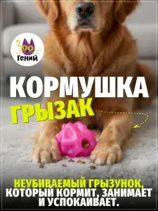 Жевательный прочный мяч регби для крупных собак с отверстием под корм для игр и дрессировки, прочный, прыгучий