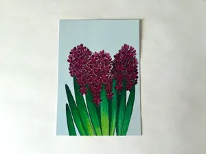 Открытка Гиацинты