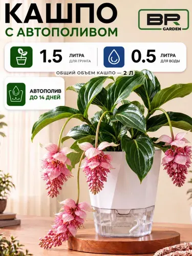 Кашпо с фитильным автополивом 2л