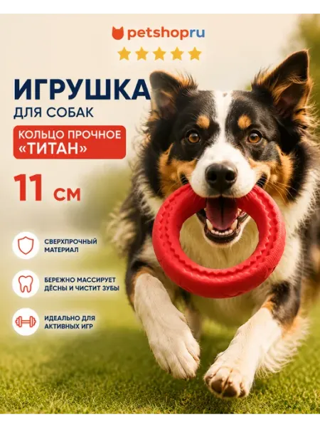 Игрушка для собак кольцо прочное "Титан", 11 см PetShop