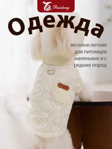 Одежда для собак