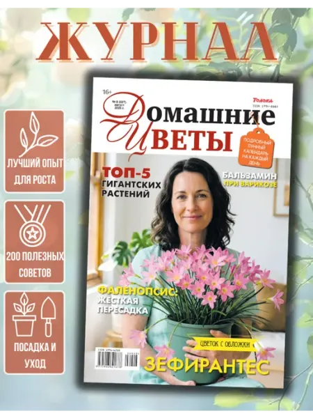 Домашние цветы№8 26. Зефирантес Домашние цветы