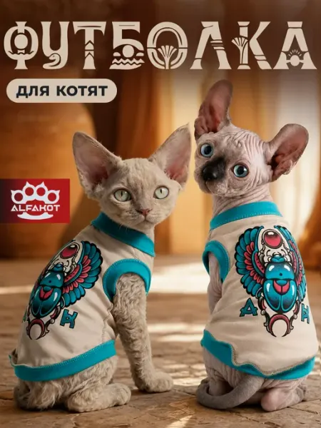 Одежда для котят сфинкс ALFAKOT