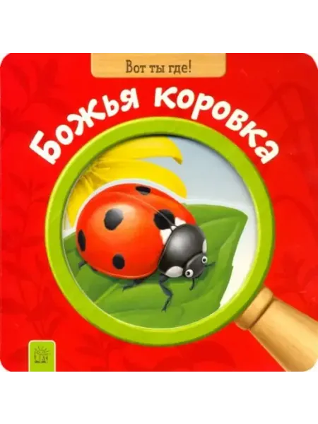 Вот ты где! Божья коровка Лабиринт - Пресс