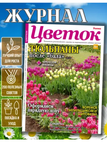 Журнал о садовых цветах № 10 24.Как ухаживать за тюльпанами Цветок