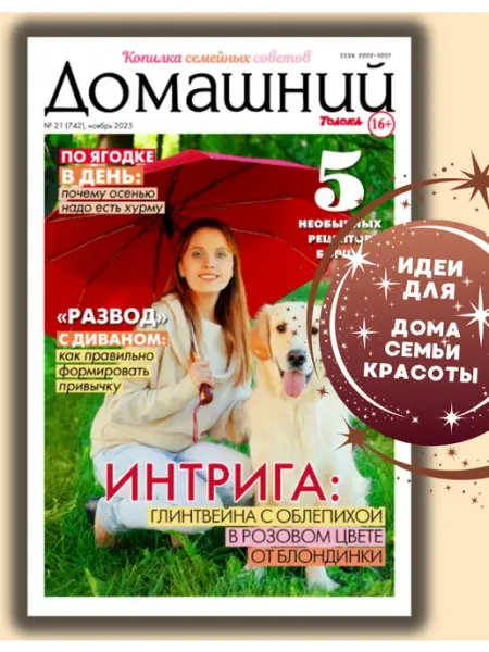 Журнал. Домашний№21 25 Домашний журнал