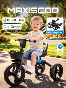 Maxiscoo Велосипед детский трехколесный Dolphin