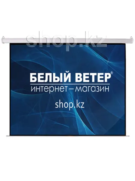 Экран настенный MSPSBC100V2 Mr.Pixel