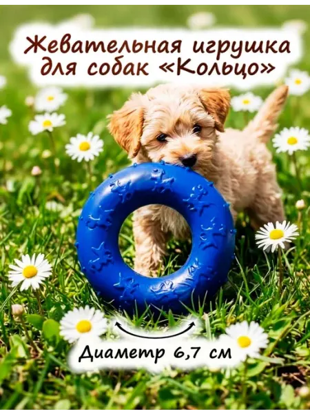 Жевательная игрушка для собак «Кольцо»