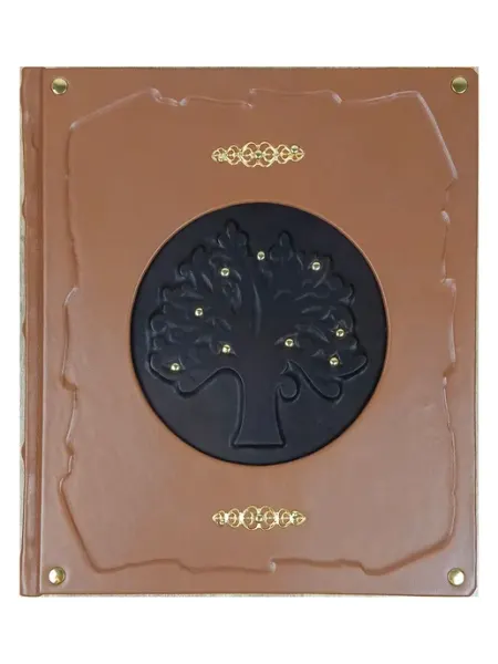 Родословная книга - Семейное древо в коже