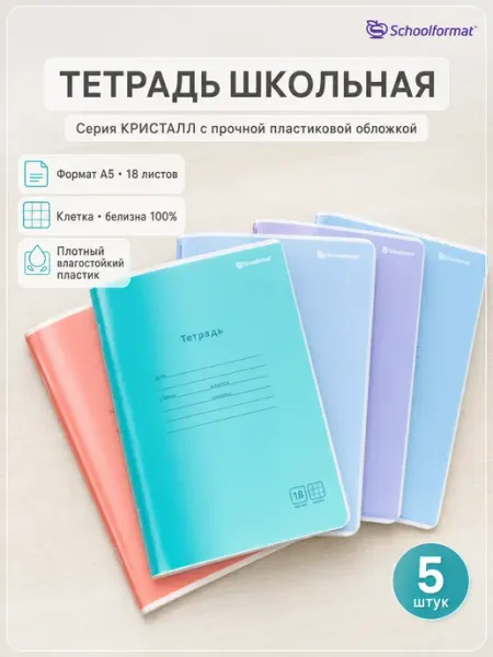 Тетрадь в клетку 18 листов А5 Schoolformat