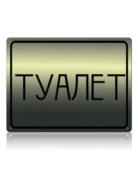 Табличка для туалета Туалет техно, металл, 20х30 см Декоративная жесть
