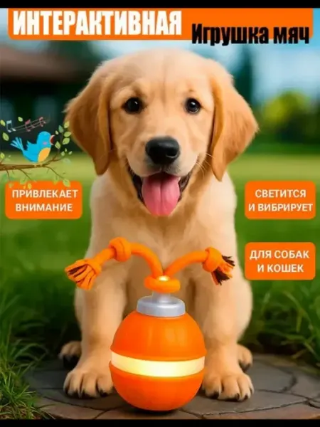 Электрическая игрушка для собак с зарядкой
