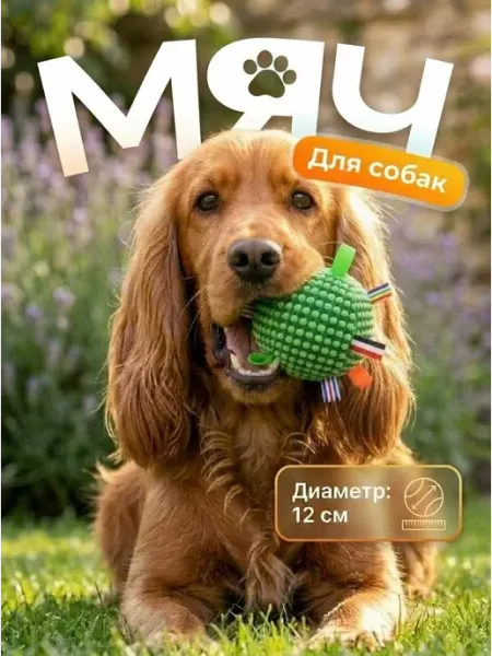 Игрушка-мяч для собак СПАНИ