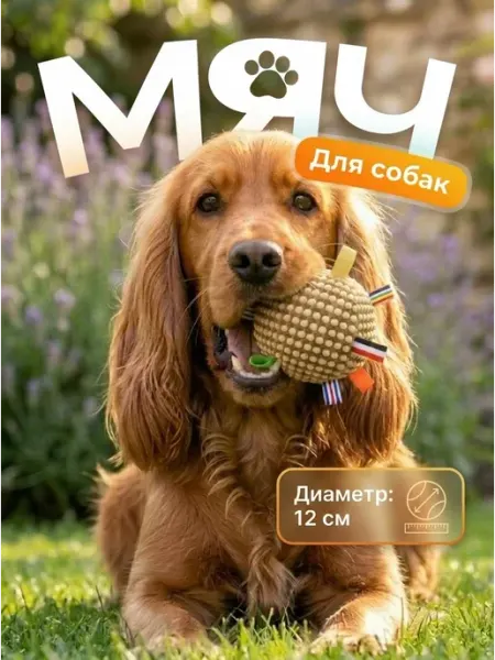 Игрушка-мяч для собак СПАНИ