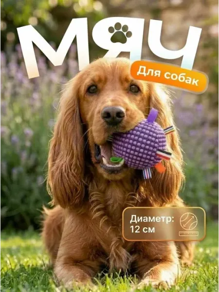 Игрушка-мяч для собак СПАНИ